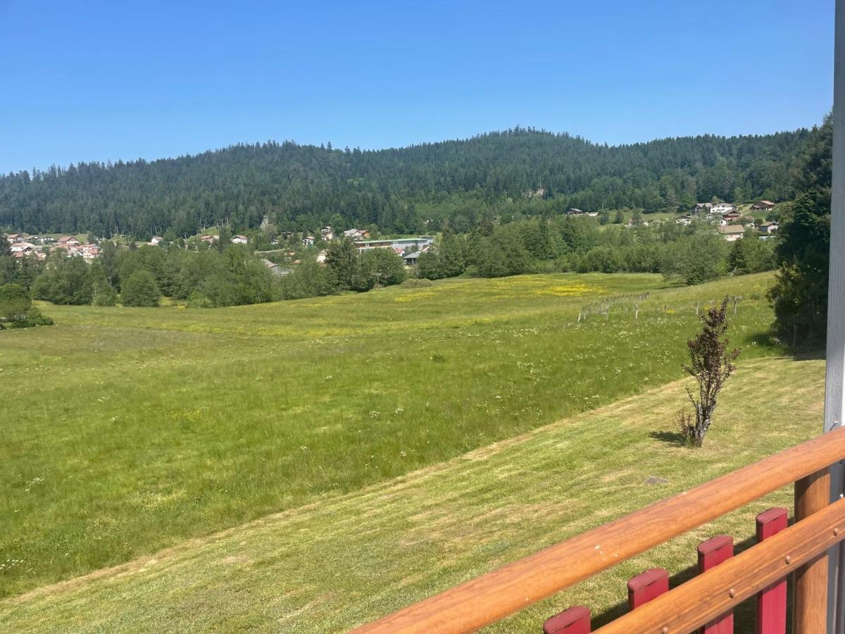 Chalet Le Cedre Bleu 10 P - 10 Min De Gerardmer لو ثولي المظهر الخارجي الصورة