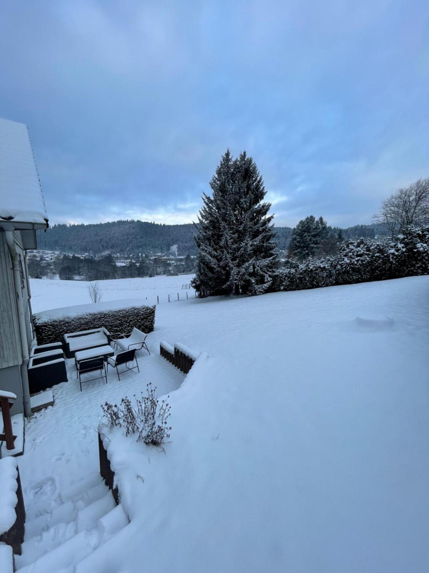 Chalet Le Cedre Bleu 10 P - 10 Min De Gerardmer لو ثولي المظهر الخارجي الصورة